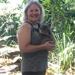 Profile Picture of Cathy Fowler (@fowlerc53) on Instagram