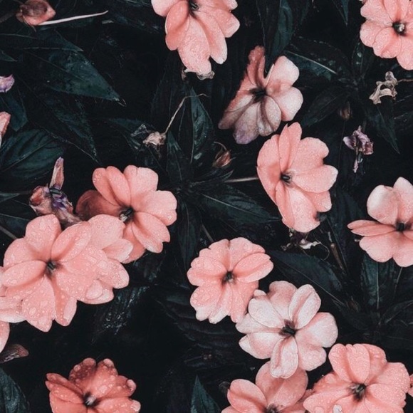 Alyssa Ciccone - Poshmark Profile Picture of Alyssa Ciccone (@aciccone6) on Poshmark