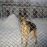 Profile Picture of James Johnson (@azarovaverdier) on Instagram