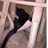 Profile Picture of Julia Richardson (@@juliarichardson5) on Tiktok