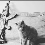 Khairul Mike Morello - Instagram Profile Picture of Khairul Mike Morello (@mike_morello69) on Instagram