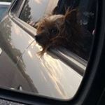 Profile Picture of Kelli Huddleston Galloway (@huddlestongalloway) on Instagram