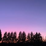 Andrea Martorana - Instagram Profile Picture of Andrea Martorana (@andrealynnmartorana) on Instagram