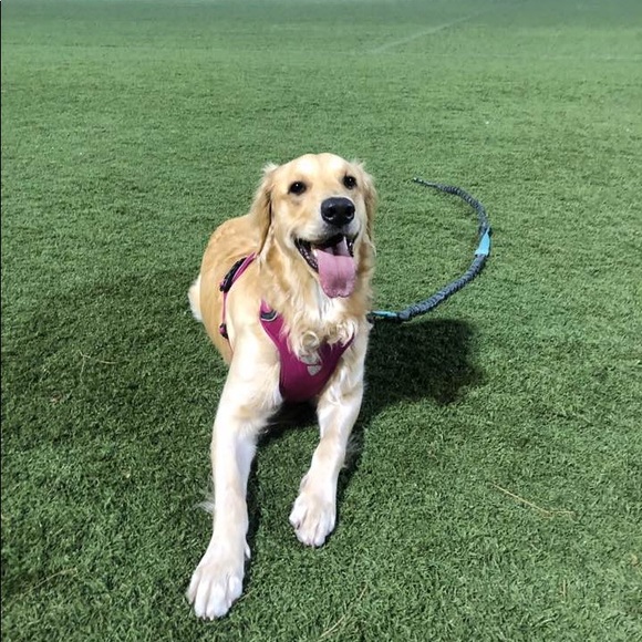 Profile Picture of Taeho Park (@pth0309) on Poshmark