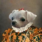 Profile Picture of 후추이야기 (@gncnstory) on Instagram