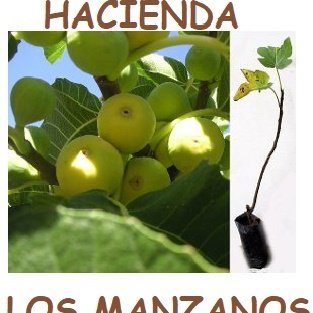 Profile Picture of Maritza Pamela Manobanda Rea (@ManobandaRea) on Twitter