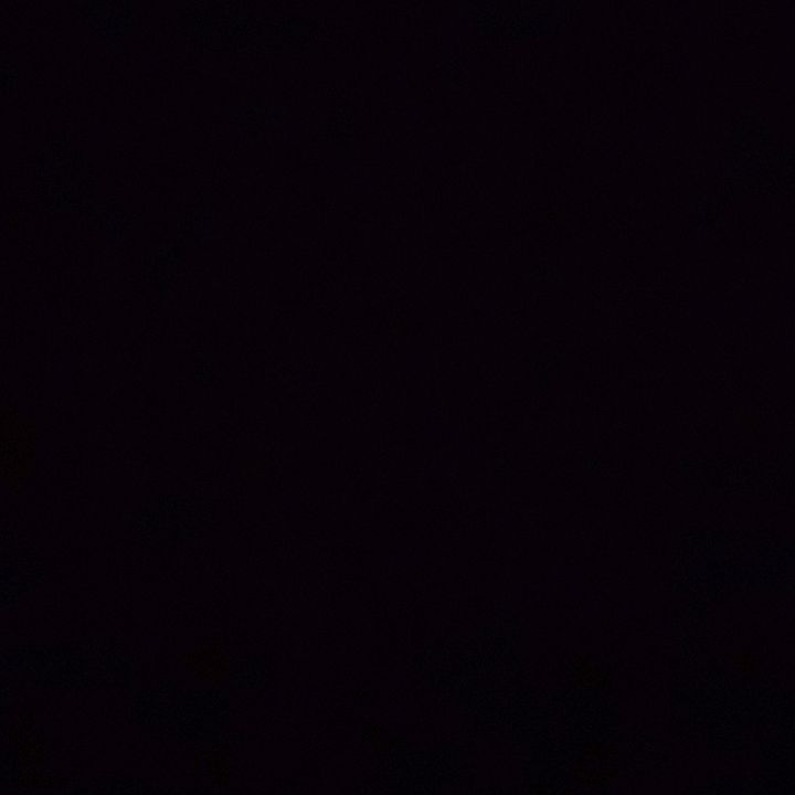 Tammy Fitzsimmons537 - Tiktok Profile Picture of Tammy Fitzsimmons537 (@tammyfitzsimmons0) on Tiktok