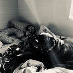 Profile Picture of Jeremy Schuler (@adreamabovetherest) on Instagram