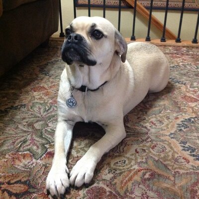 Profile Picture of Jacob Nance (@jakster16) on Twitter