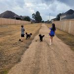 Profile Picture of Jessica King Decoux (@queendecoux) on Instagram