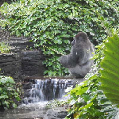 Profile Picture of Chris Nye (@chrisnye7) on Twitter