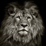 Profile Picture of 𝓡𝓪𝓯𝓪𝓲𝓵_07 (@binaliyev__777) on Instagram