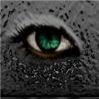 Profile Picture of StephenZuber (@stephenZuber) on Twitter