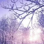 Naomi Delville - Facebook Profile Picture of Naomi Delville (@Naomi-Delville) on Facebook