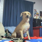 Profile Picture of Jacob Stovall (@jacobstovall4936) on Youtube