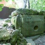 Profile Picture of Swansona (@swansonaminica4) on Instagram