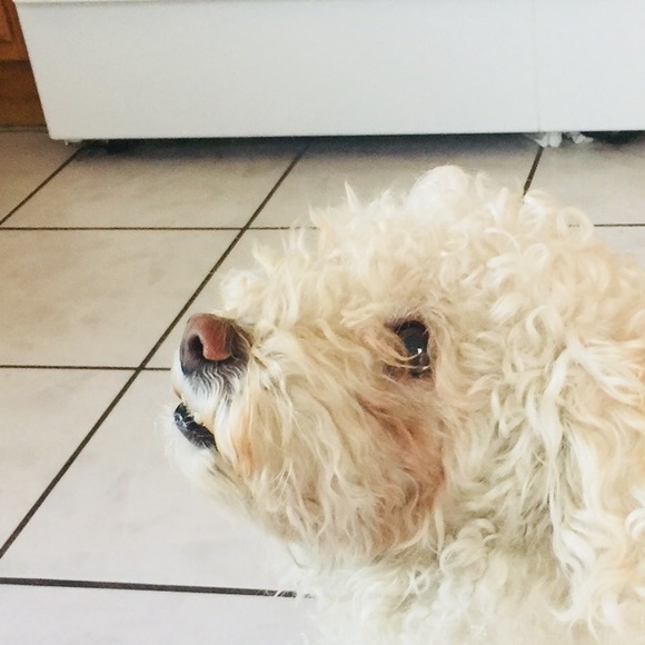 Profile Picture of Cindy Tong (@ctnerdy) on Poshmark