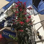 Profile Picture of Socrates Bodrum (@socratesbodrum) on Instagram