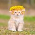 Profile Picture of Karen Engstrom (@karen.engstrom.5095) on Facebook