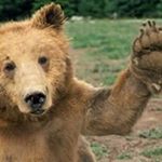 Profile Picture of Eric Rouchman (@ericrouchman) on Instagram