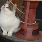 James Godlewski - Facebook Profile Picture of James Godlewski (@james.godlewski) on Facebook