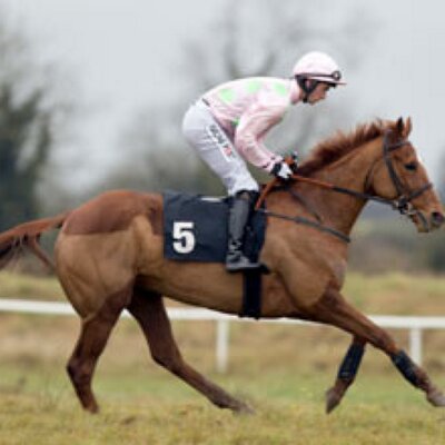 Profile Picture of Annie Power (@AnniePower_) on Twitter