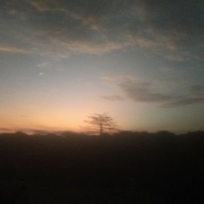 Profile Picture of Alex Godwin (@ChouLee75002615) on Twitter