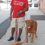 Profile Picture of Jason Gerald (@jason.gerald) on Instagram