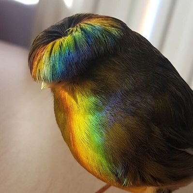 Profile Picture of Dino (@YaBoiiAndyX) on Twitter