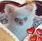 Profile Picture of Isabelle Pinelli (@isabelle.pinelli) on Facebook