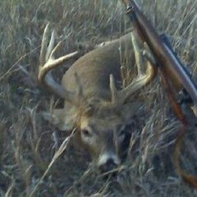 Profile Picture of James Virden (@jevl3) on Twitter