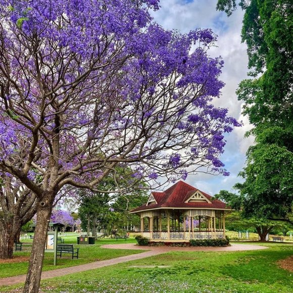 Profile Picture of Negar Shabani (@negarshabani) on Poshmark