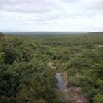 Profile Picture of Simon Ngugi (@simon.ngugi.71216) on Instagram