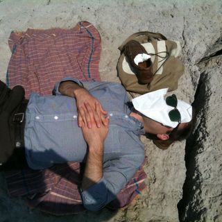Profile Picture of Jason Fulford (@mushroom_collector) on Instagram