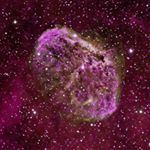 Profile Picture of Elsa Schwarzmueller (@schwarzmuellerelsa) on Instagram