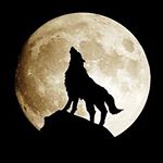 Profile Picture of behnam (@behnam.ahmadzadeh6565) on Instagram