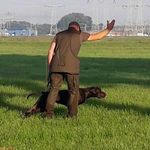 Profile Picture of Mark van Meeteren (@markvanmeeteren) on Instagram