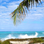 Profile Picture of JoAnne Nelson (@joannenelson8737) on Youtube