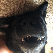 Profile Picture of Kyle Schram (@kyleschram9405) on Youtube