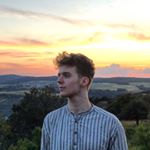 Profile Picture of Paul Bienwald 🐝🌲🌳 (@paul.beeforest) on Instagram