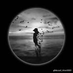 Profile Picture of Jack Larry (@Jack-Larry) on Facebook