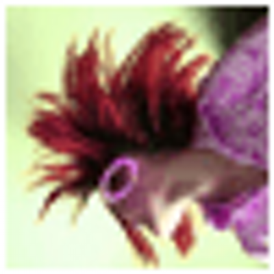 Profile Picture of Nigel Correa (@wrathshadb) on Twitter