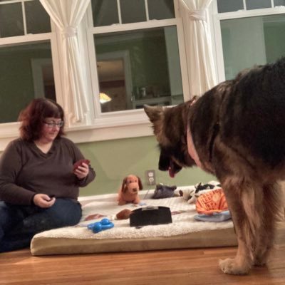 Profile Picture of Adventures (@amberstults) on Twitter