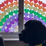 Profile Picture of Paula Golding (@lovinglifemg) on Instagram