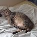 Profile Picture of Tony Evanoff (@evanoff22tony) on Pinterest