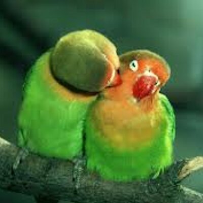 Profile Picture of Mira Gupta (@MiraTGupta) on Twitter