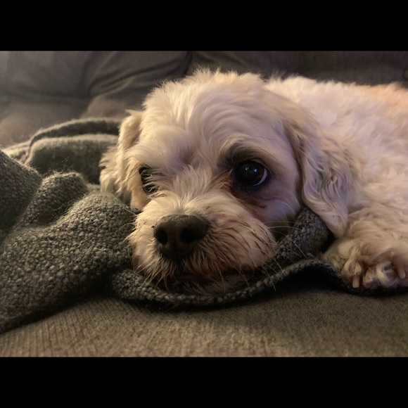 Profile Picture of Kate Finn (@katefinnn) on Poshmark