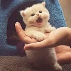 Profile Picture of Cassy Garcia (@cassy.garcia.636775) on Facebook