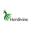 Profile Picture of Herdivine (@herdivine) on Tiktok