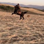 Profile Picture of Shabaz Hasan (@shabaz__hassan) on Instagram